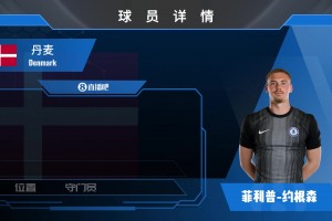 约根森球员集锦：出色的传中能力 强大的往返奔跑能力