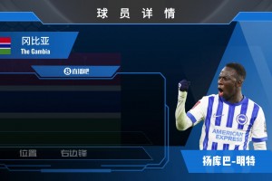 埃斯图皮尼安球员集锦：左路一条龙 速度与爆发皆属上乘